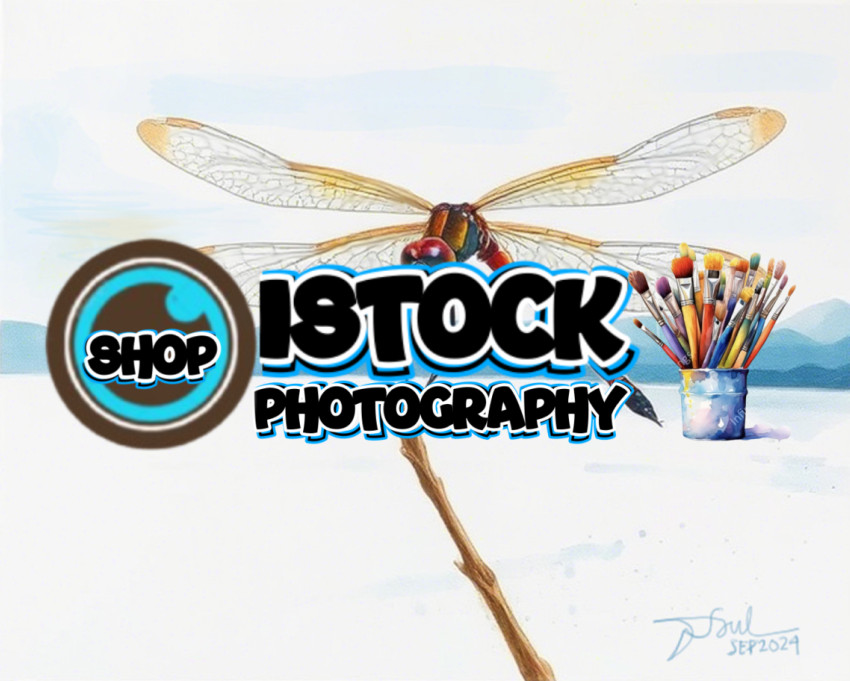 A Dragonfly at Lake Toba 1