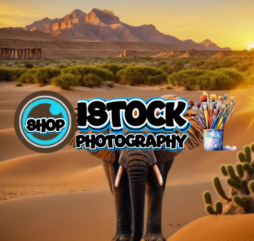 Desert Elephant at Sunset