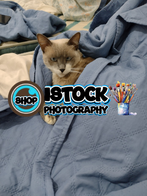 IMG 20250523 144943113