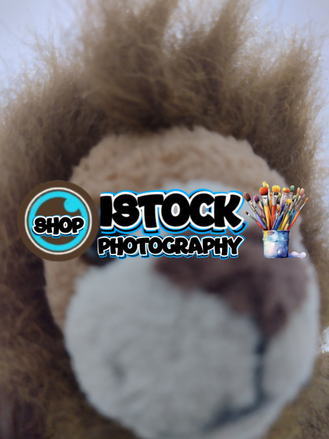 IMG 20250524 161034828