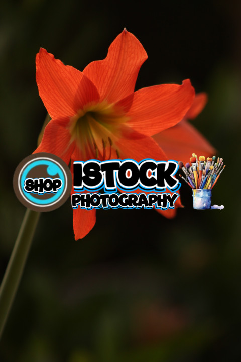 inbound9132241409032810844