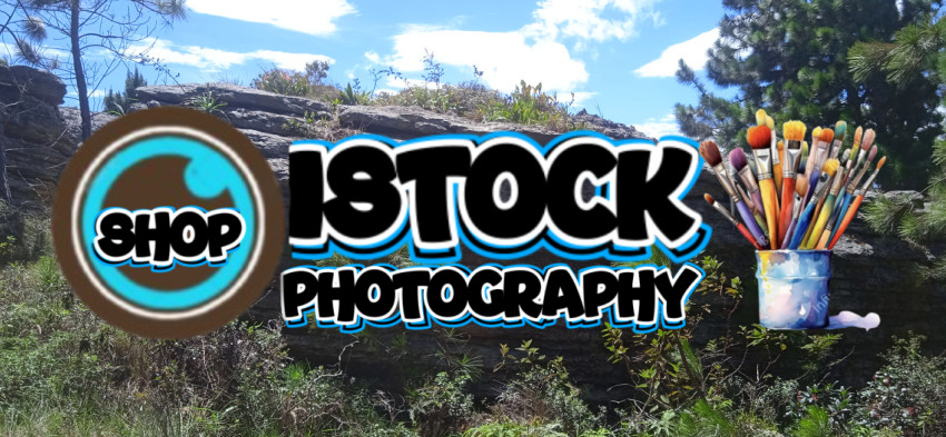 Lo especial de la vida