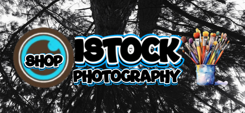 Estructura y ramas en la vibración.