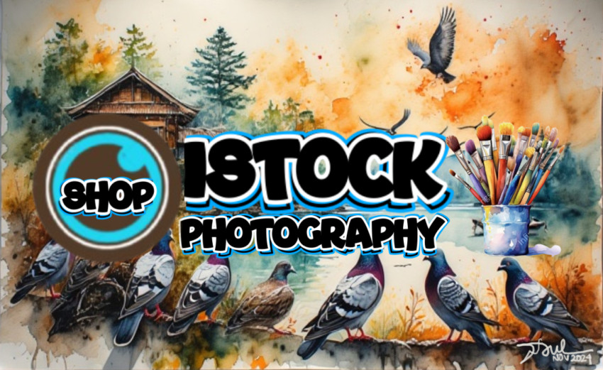 Eight Doves at Lake Toba 1