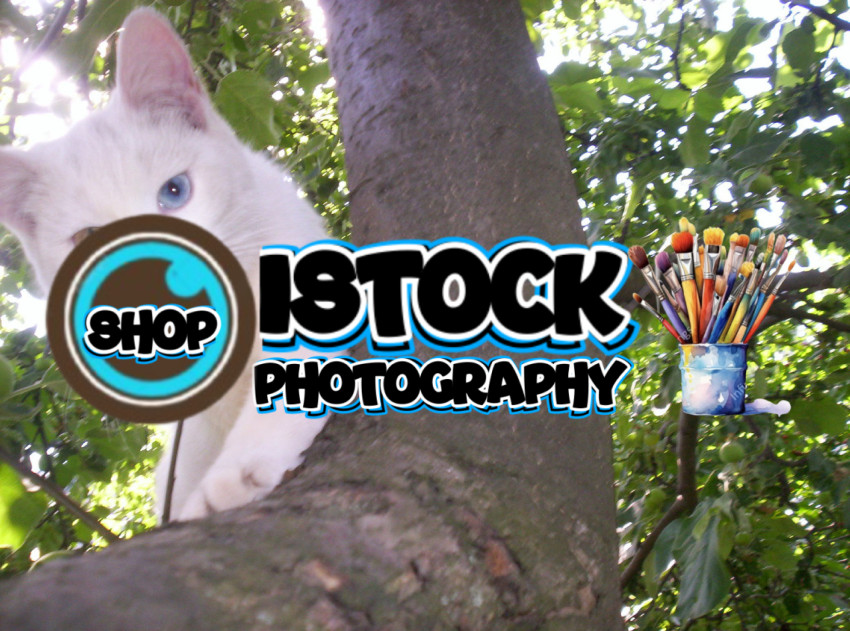 J2048x1520 07003 (1)