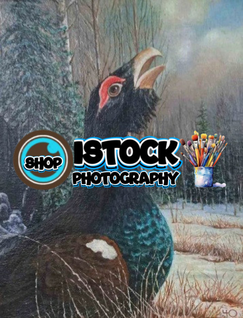 Screenshot 20250514 175148 Viber