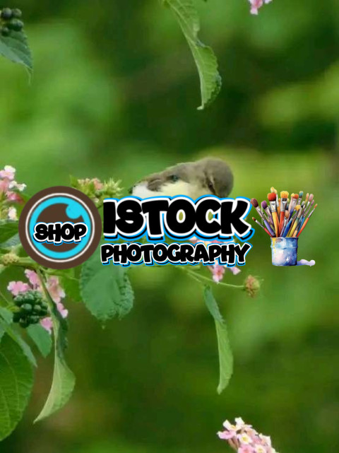 inbound839445419560656314