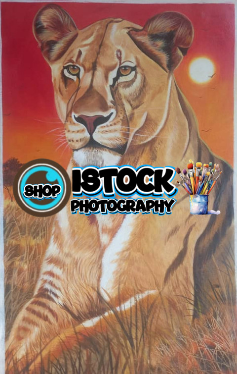 IMG 20250413 WA0083 1