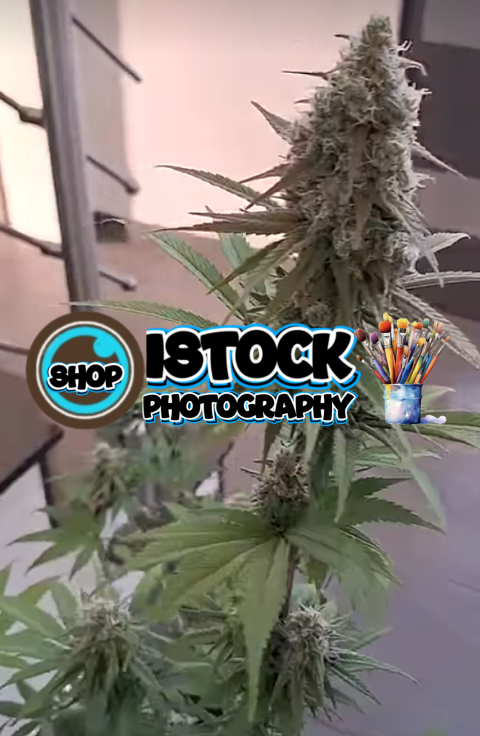 Screenshot 20250627 180235