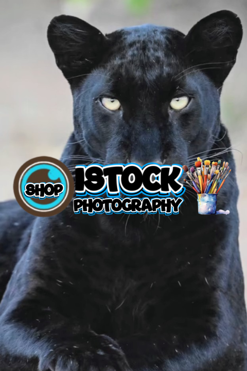 Screenshot 20250505 142643