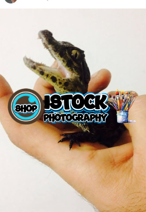 Screenshot 20250711 150906 Instagram