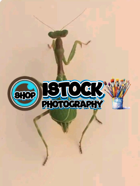 Screenshot 20250527 161625 Messenger