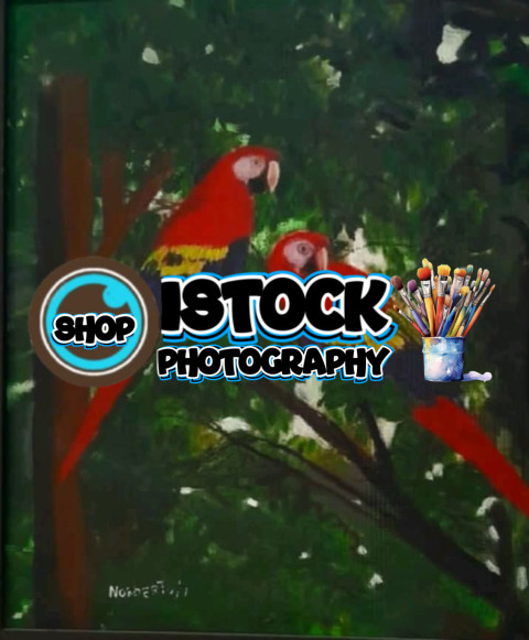 El descanso de la guacamaya