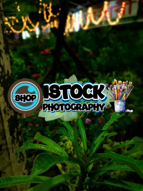 Business Suite creation 1744152492861707