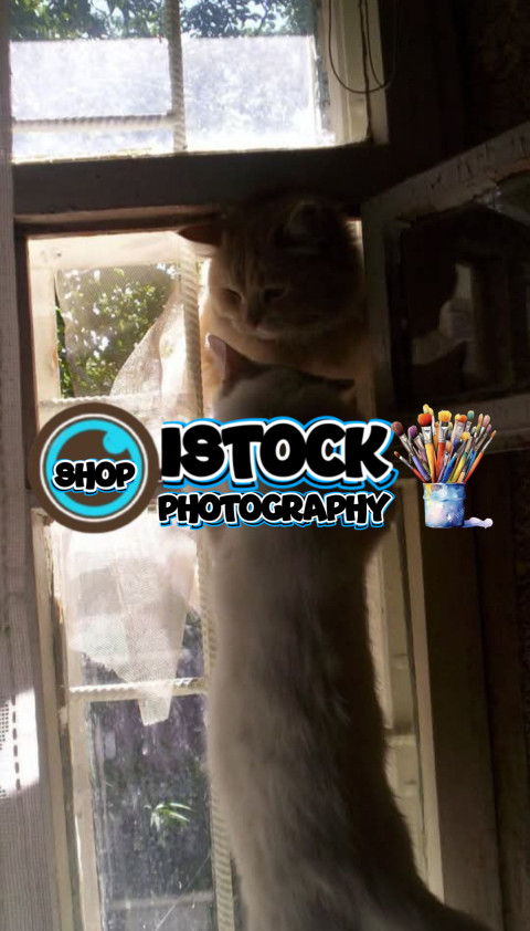 Screenshot 20250501 185936 Facebook