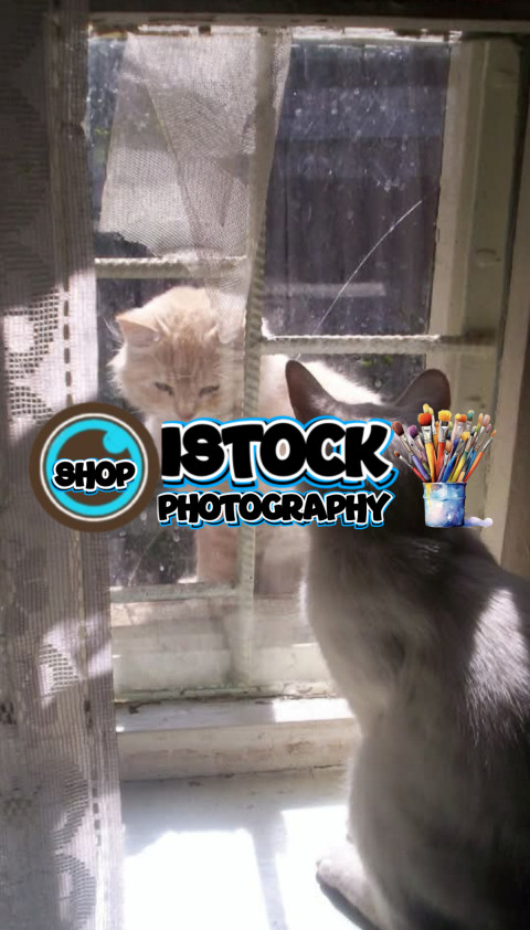 Screenshot 20250501 190121 Facebook