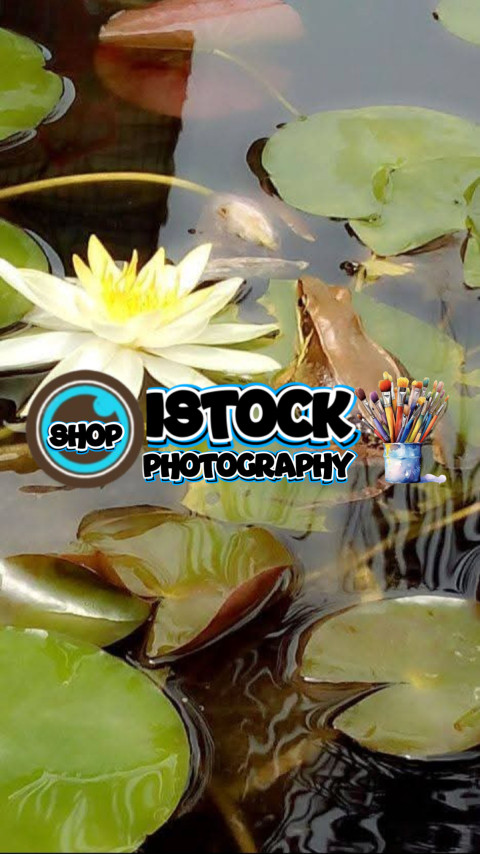 inbound2717659035705699120