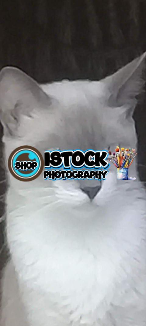 Screenshot 20250417 141951