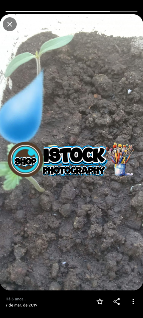 Screenshot 20250308 233053