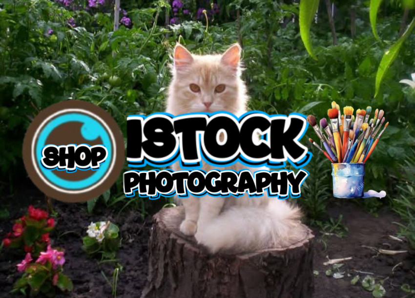 Screenshot 20250416 231422 Facebook