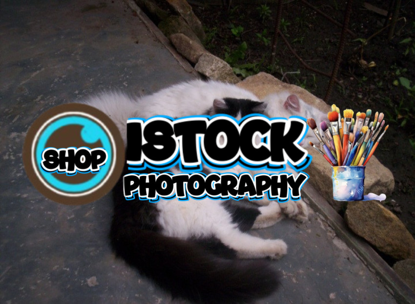 Screenshot 20250425 234210 Photos