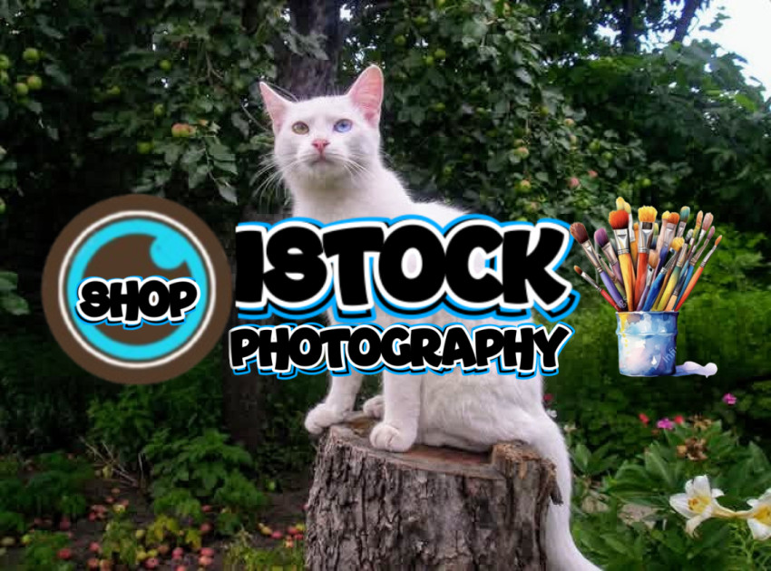 facebook 1732963949928 7268577627060251681~2