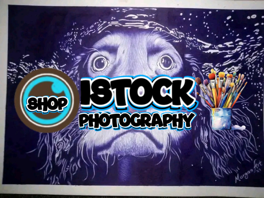 FB IMG 17516249905687131