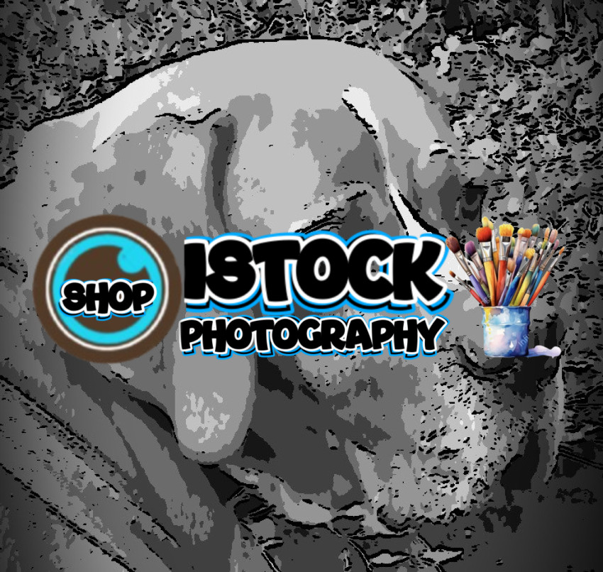 Screenshot 20260405 220515 Gallery