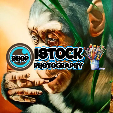 inbound3940896882652727585