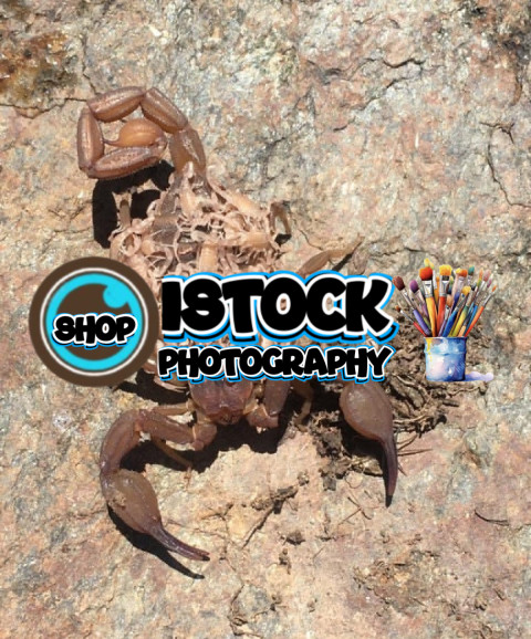 Screenshot 20250711 150122 Instagram