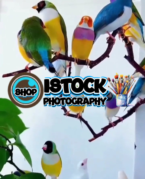 Screenshot 20240121 192203 Instagram