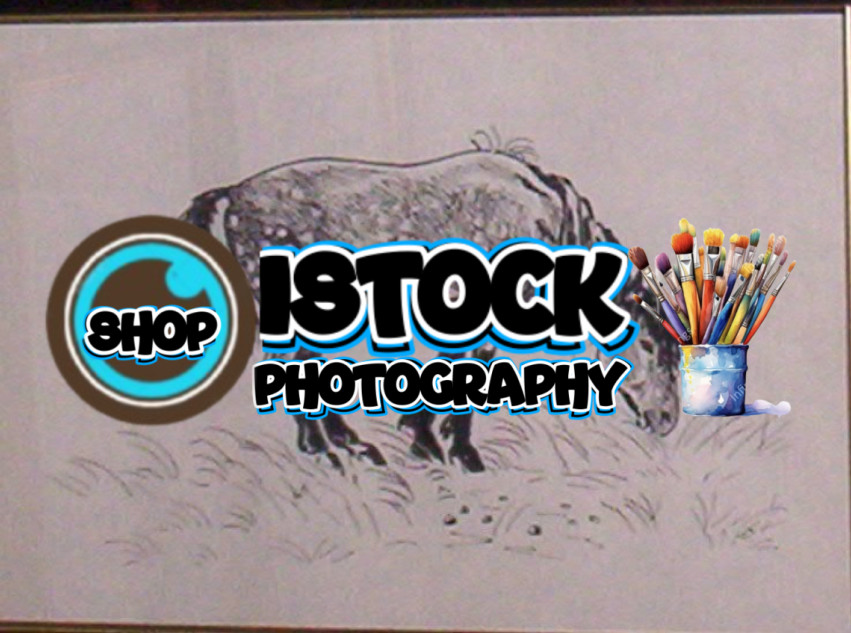 J2080x1544 03326 (2)