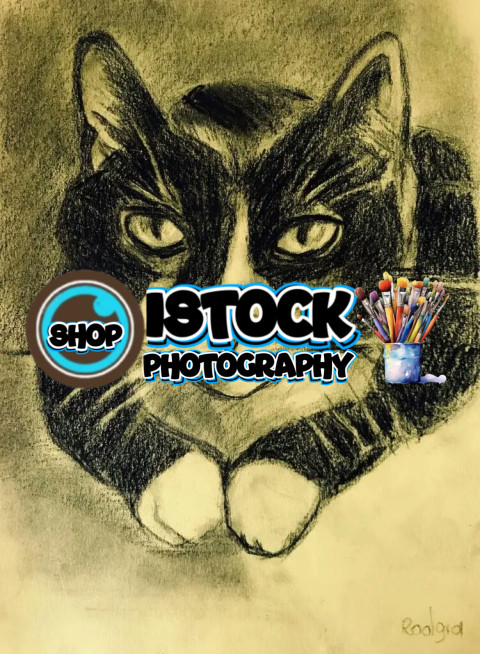 FB IMG 17455408271031599