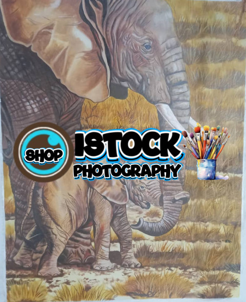 IMG 20250413 WA0084 1