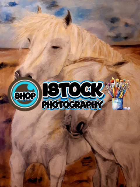 128252887 10215511257574057 2606202332394865116 n