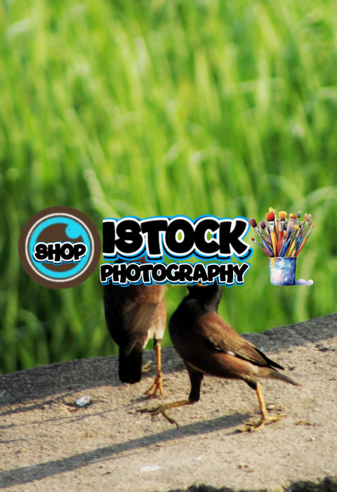 inbound1038344822581729426