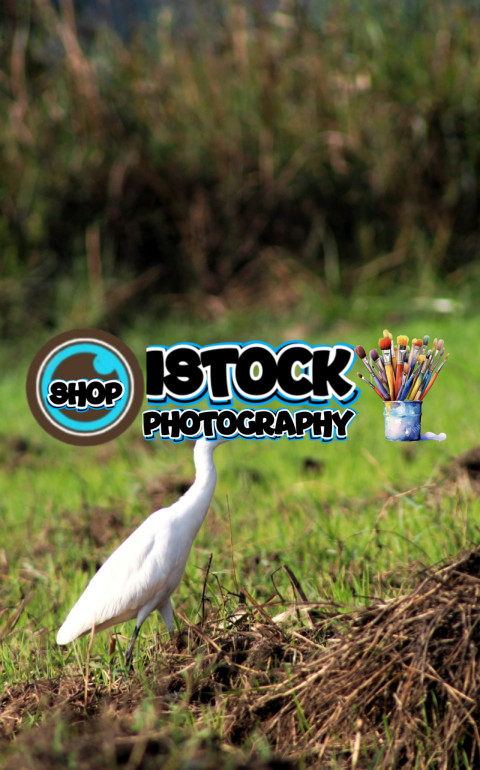 inbound7136563388449668604