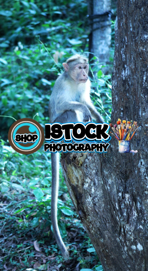 inbound5320752931929150772