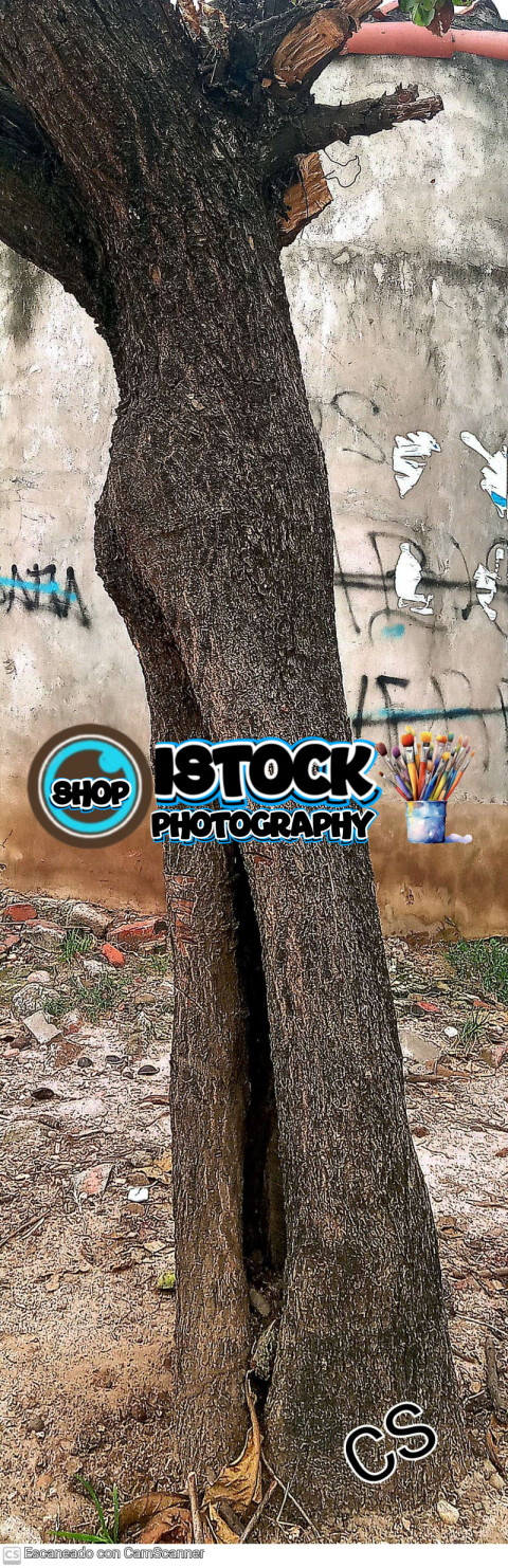 inbound2879900231151474112