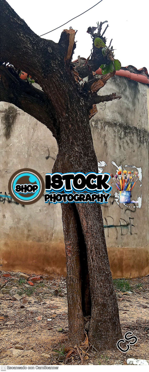 inbound6840738117653727038