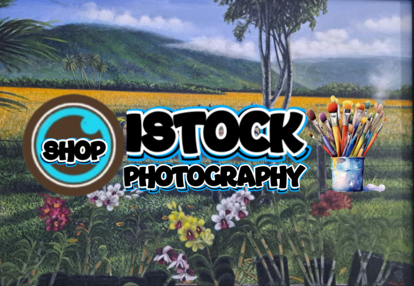 Panen padi di indonesia