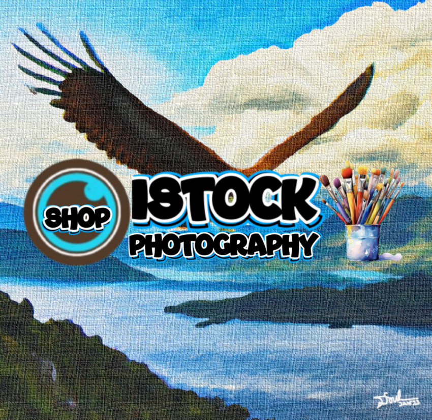 An Eagle Flying Across Lake Toba 1