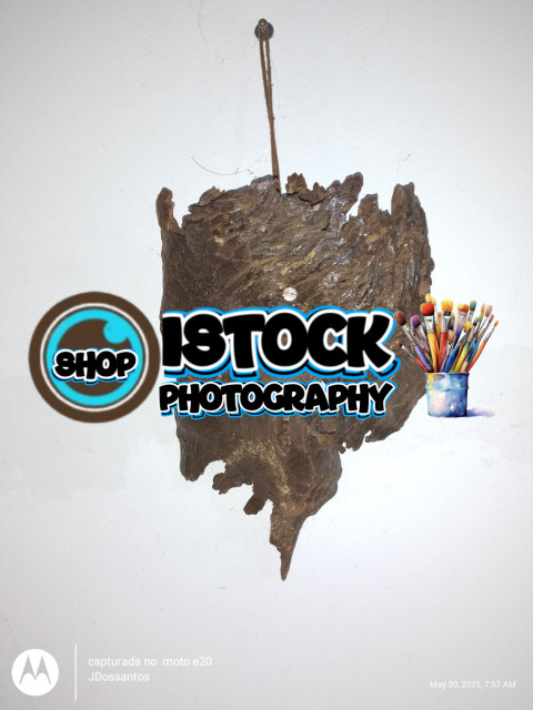 inbound7479870285566934922