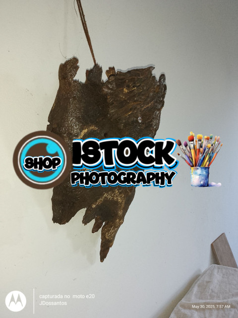 inbound5833507841578743718