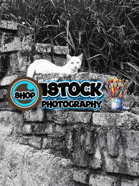 Las transparencia de los matices de la vida.