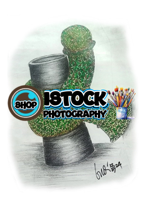 Picture Rook in the chess