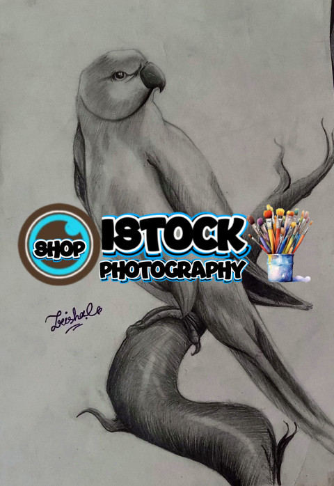 inbound2878444904545247827