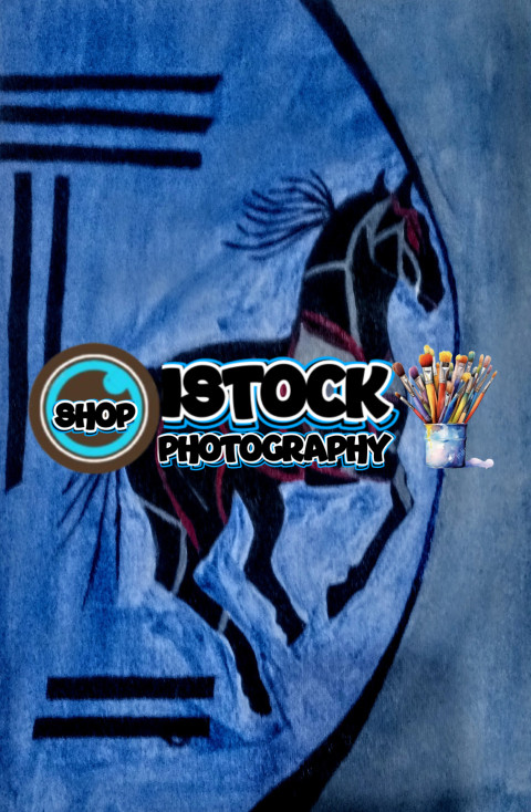 Spirit of the Wild Stallion