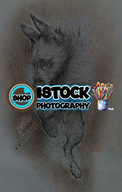 IMG 20250714 114652 317