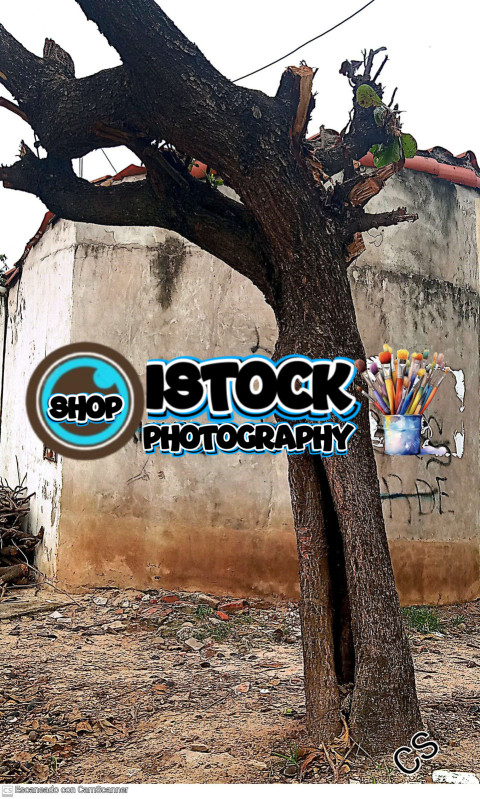 inbound5142673196053302407